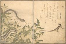Rat Snake (Hebi); Lizard or Skink (Tokage)..., 1788. Creator: Kitagawa Utamaro