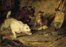 Ratcatchers 1821. Artist: Edwin Henry Landseer