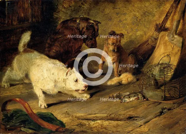 'Ratcatchers', 1821. Creator: Edwin Henry Landseer.