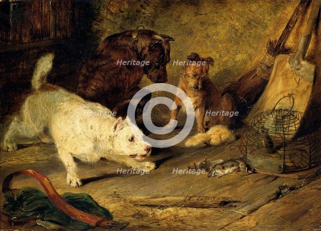'Ratcatchers', 1821. Creator: Edwin Henry Landseer.
