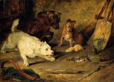 Ratcatchers 1821. Creator: Edwin Henry Landseer
