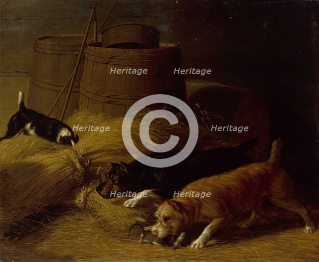 Rats amongst the Barley Sheaves, 1851. Creator: Thomas Hewes Hinckley.
