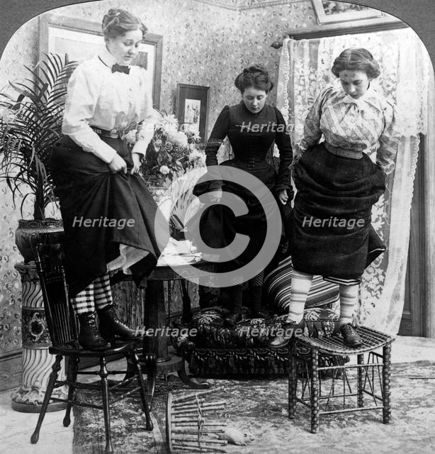 'Rats! Rats!! Rats!!!'.Artist: American Stereoscopic Company