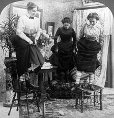 Rats! Rats!! Rats!!! Artist: American Stereoscopic Company