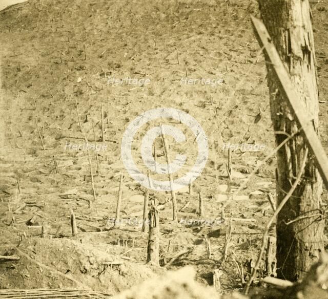 Ravine at Les Éparges, northern France, c1914-c1918.  Artist: Unknown.