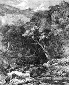 "Ravine in Glen Tilt" - painted by W. Bennett - from the Exhibition of the New Society of Painters i Creator: Edmund Evans