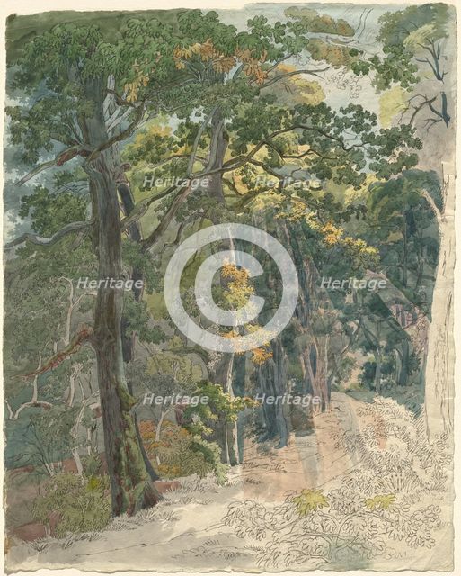 Rays of Sunlight Striking a Woodland Path, c. 1815. Creator: Friedrich Salathe.