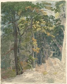 Rays of Sunlight Striking a Woodland Path, c. 1815. Creator: Friedrich Salathe