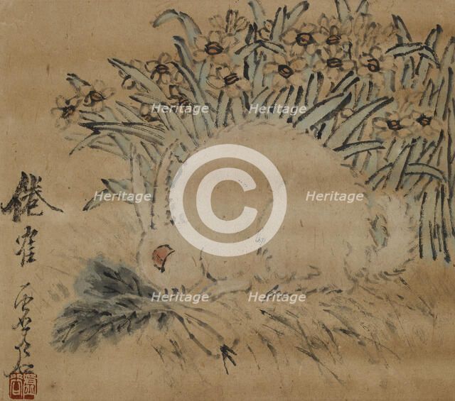 Rabbit and narcissus, . Creator: Xugu.