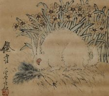 Rabbit and narcissus, . Creator: Xugu