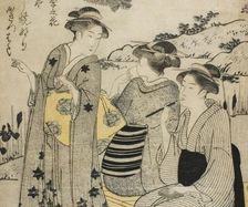 Rabbit-Ear Irises in Autumn, from the series "Choicest Odes upon Flowers of the Four..., c. 1792. Creator: Katsukawa Shuncho