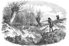 Rabbit-Shooting near Tunbridge - drawn by Duncan, 1850. Creator: Unknown