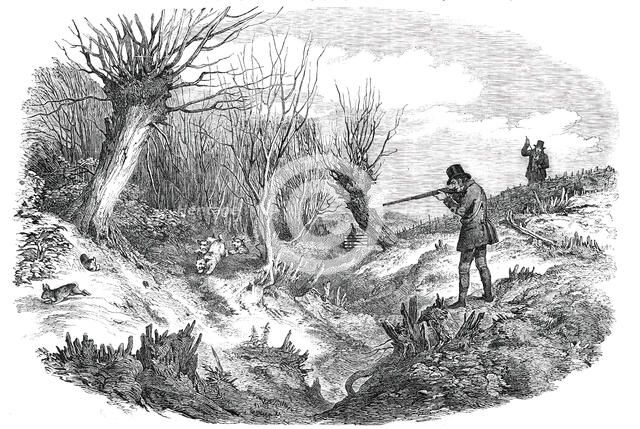 Rabbit-Shooting near Tunbridge - drawn by Duncan, 1850. Creator: Unknown.