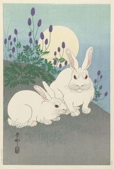 Rabbits at full size, 1920-1930. Creator: Ohara, Koson (1877-1945)