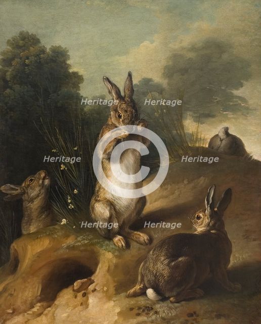 Rabbits, between 1720 and 1729. Creator: Alexandre François Desportes.