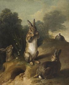Rabbits, between 1720 and 1729. Creator: Alexandre François Desportes