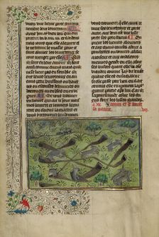Rabbits; Livre de la Chasse, about 1430-1440. Creator: Unknown