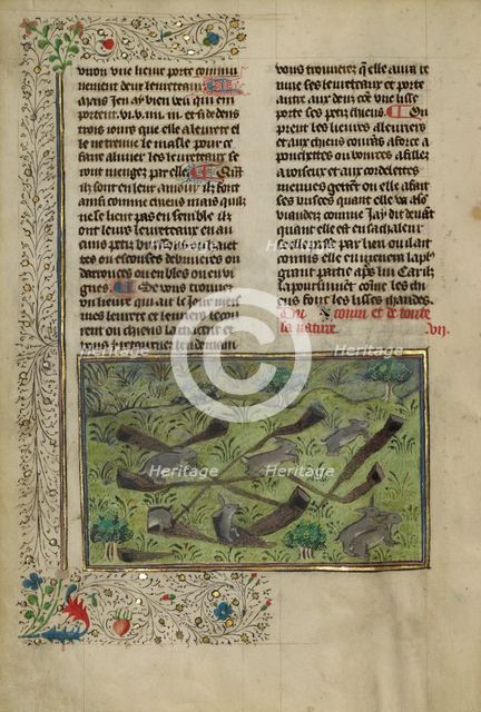 Rabbits; Livre de la Chasse, about 1430-1440. Creator: Unknown.