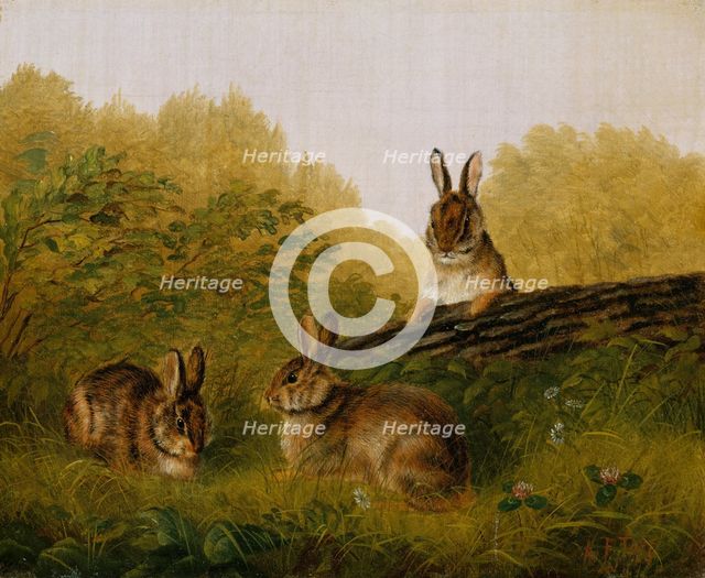 Rabbits on a Log, 1897. Creator: Arthur Fitzwilliam Tait.
