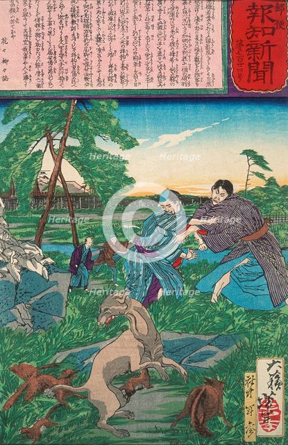 Raccoon Dog Protects Its Cubs from Attack by a Dog, c1875. Creator: Tsukioka Yoshitoshi.