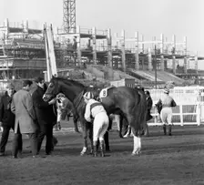 Racehorse and jockey in front of Doncaster Racecourse grandstand, South Yorkshire, 1969. Creator: Michael Walters