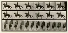 Racking (pacing), 1872-1885. Creator: Eadweard J Muybridge