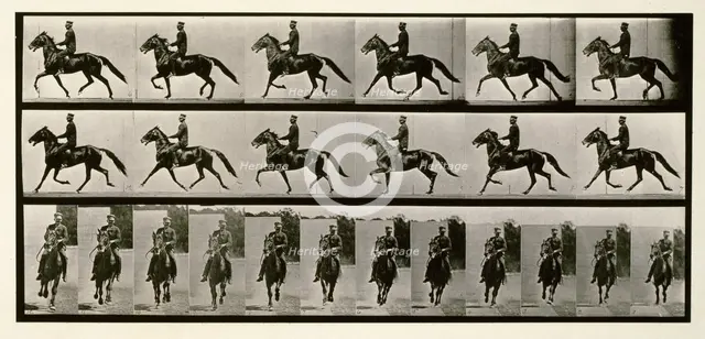 Racking (pacing), 1872-1885.  Creator: Eadweard J Muybridge.