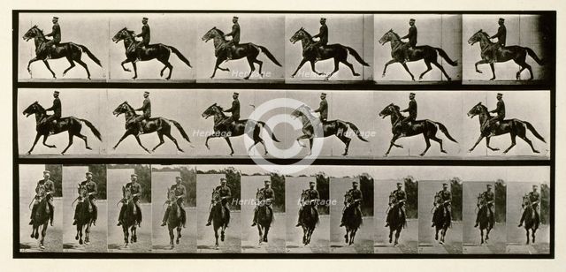 Racking (pacing), 1872-1885.  Creator: Eadweard J Muybridge.