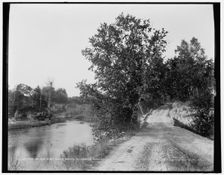 Racine, Wis., Root River rapids, Riverside Road, between 1880 and 1899. Creator: Unknown