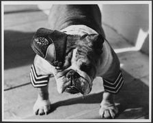 RAF Iver Heath, Iver, Buckinghamshire, 1943. Creator: Royal Air Force Fim Production Unit