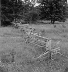 Rail fence with poor barbed wire fence in foreground, Person County, North Carolina, 1939. Creator: Dorothea Lange