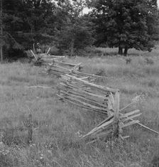 Rail fence with poor barbed wire fence in foreground, Person County, North Carolina, 1939. Creator: Dorothea Lange