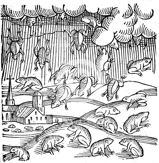 Rain of frogs recorded in 1355 (1557). Creators: Unknown, Conrad Lycosthenes.