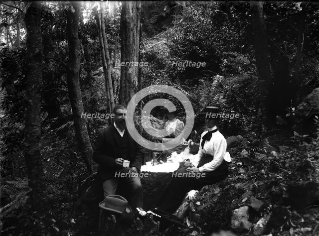 Rainforest walk, picnic possibly Tamborine Mountain region, c1900s. Creator: Robert Augustus Henry L'Estrange.