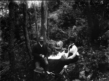 Rainforest walk, picnic possibly Tamborine Mountain region, c1900s. Creator: Robert Augustus Henry L'Estrange