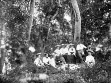 Rainforest picnic, possibly Gold Coast hinterland, 1885. Creator: Robert Augustus Henry L'Estrange