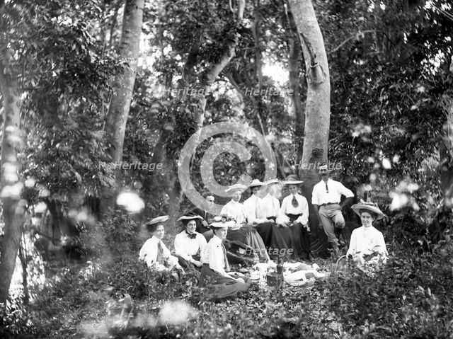Rainforest picnic, possibly Gold Coast hinterland, 1885. Creator: Robert Augustus Henry L'Estrange.