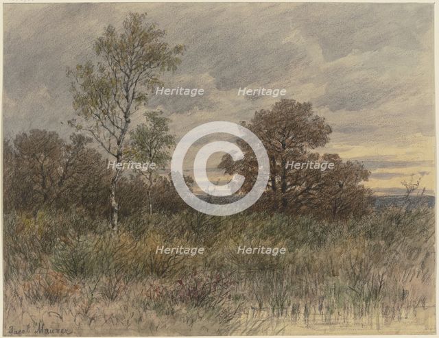 Rainy landscape with oaks and birches standing in marshy terrain, 19th century. Creator: Jakob Maurer.