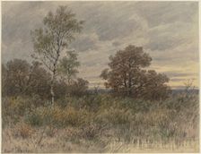 Rainy landscape with oaks and birches standing in marshy terrain, 19th century. Creator: Jakob Maurer