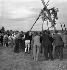 Raising the maypole for the Midsummer celebrations, Sweden, 1951. Creator: Torkel Lindeberg