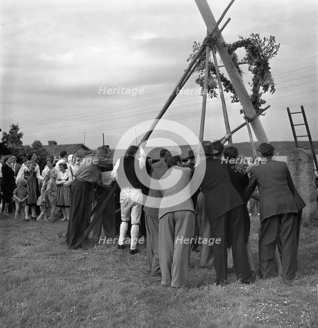 Raising the maypole for the Midsummer celebrations, Sweden, 1951. Creator: Torkel Lindeberg.