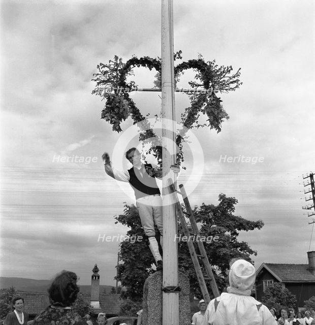 Raising the maypole for the Midsummer celebrations, Sweden, 1951. Creator: Torkel Lindeberg.
