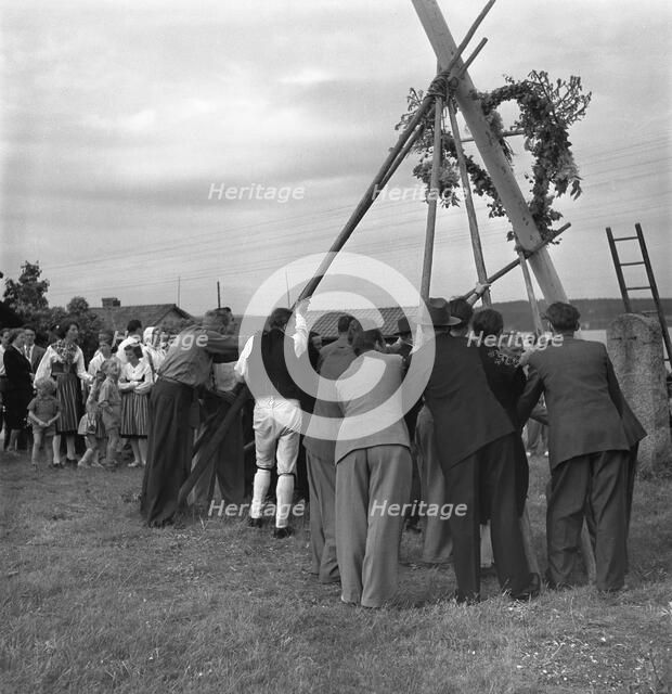 Raising the maypole for the Midsummer celebrations, Sweden, 1951. Artist: Torkel Lindeberg