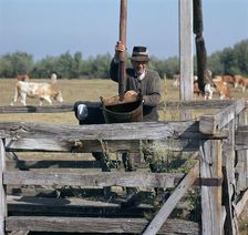 Raising water for cattle from a well in Hungary. Artist: CM Dixon