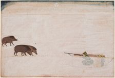 Raja Ram Chand of Amber ? hunting wild boar (r. 1667-1688), c. 1670. Creator: Unknown