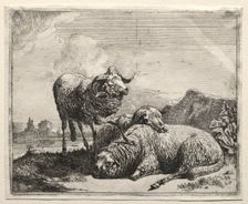 Ram and Two Sheep, 1665. Creator: Johann Heinrich Roos (German, 1631-1685)