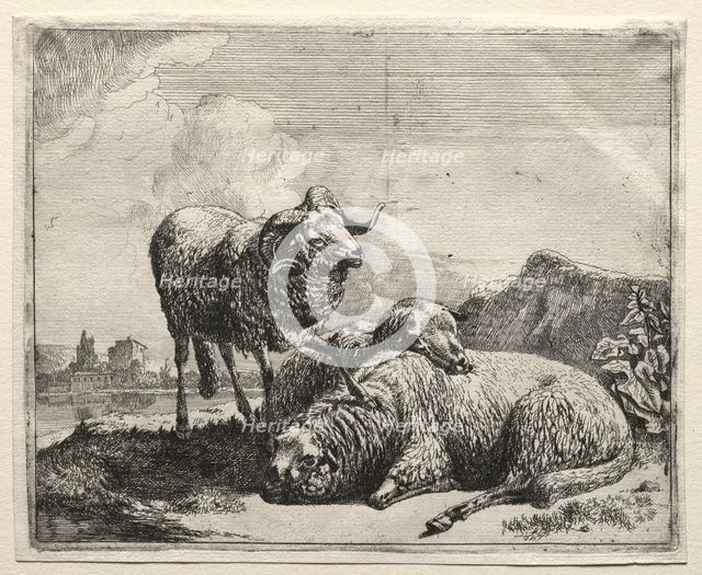 Ram and Two Sheep, 1665. Creator: Johann Heinrich Roos (German, 1631-1685).