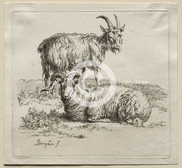 Ram and Goat. Creator: Nicolaes Berchem (Dutch, 1620-1683).