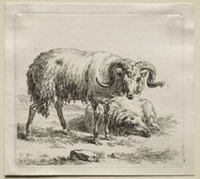 Ram and Sheep. Creator: Nicolaes Berchem (Dutch, 1620-1683)