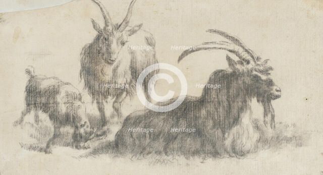 Ram, Ewe and Kid, 17th century. Creator: Marcus de Bye.